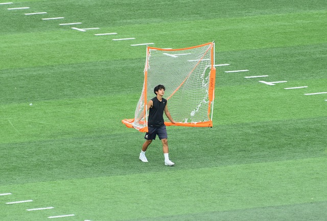 通过观察李